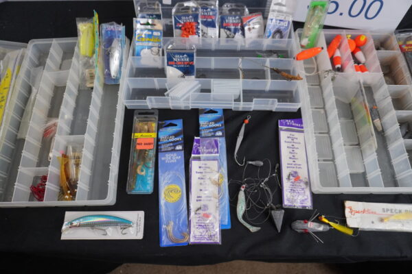 3 organizers and all the fishing items in them - Image 4