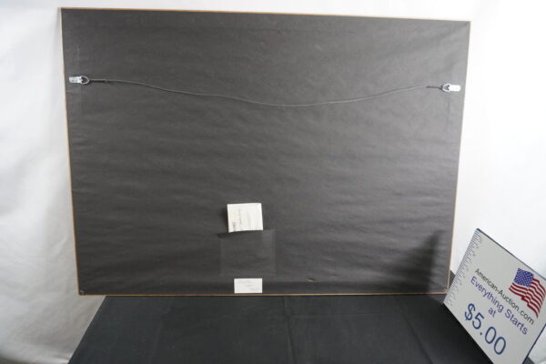 48"x34" Rose Garden picture. Certificate of Authentication on back - Image 4