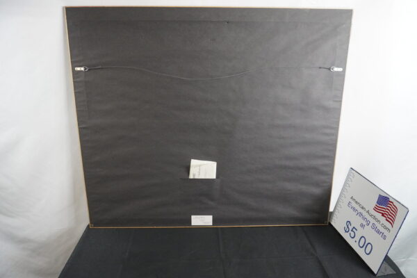 Beautiful OCEAN/SUN picture 41'x34" Certificate of Authenticity on back - Image 4