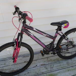 Rallye 10 speed bike "Hi ten steel const" DX5300