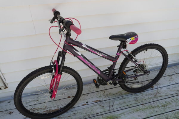 Rallye 10 speed bike "Hi ten steel const" DX5300