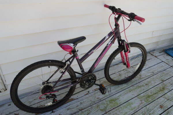 Rallye 10 speed bike "Hi ten steel const" DX5300 - Image 2
